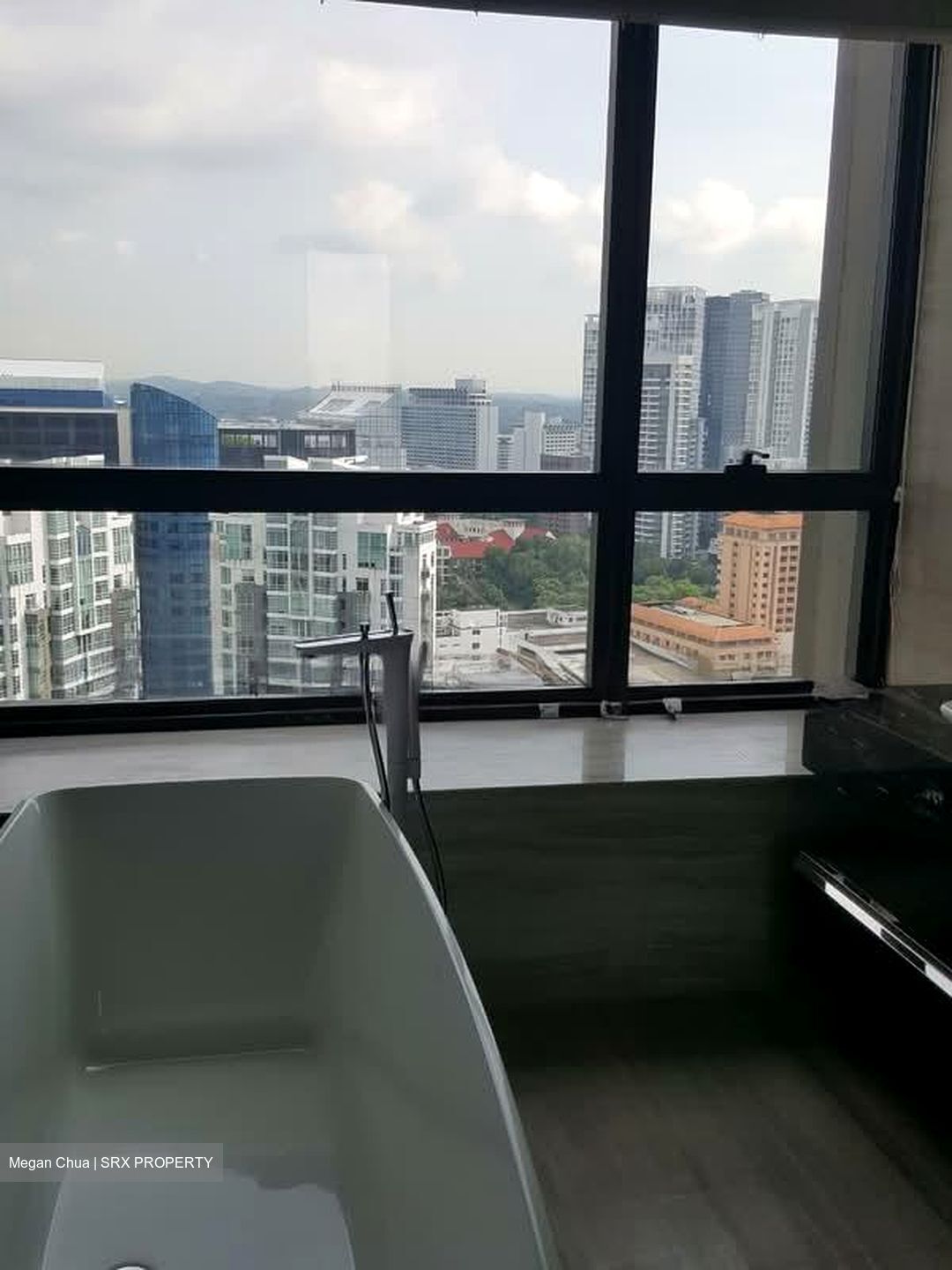 Tomlinson Heights (D10), Condominium #550073071